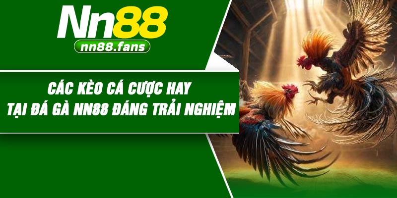 Các kèo cá cược hay tại đá gà NN88 đáng trải nghiệm