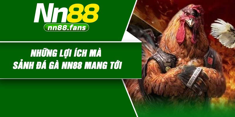 Những lợi ích mà sảnh đá gà NN88 mang tới